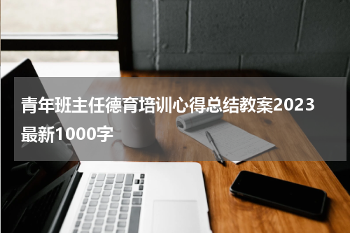 青年班主任德育培训心得总结教案2023最新1000字