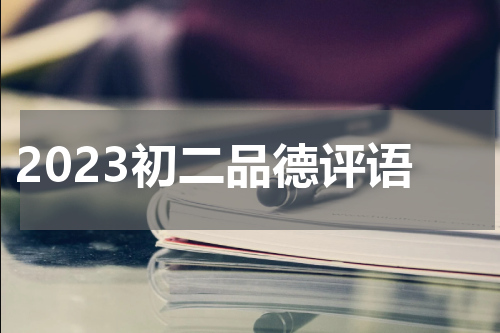 2023初二品德评语