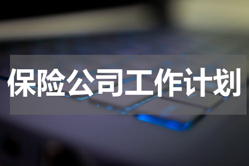 保险公司工作计划
