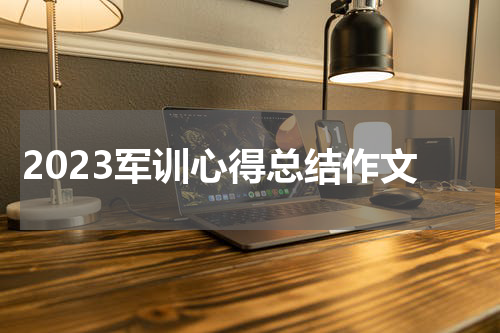 2023军训心得总结作文