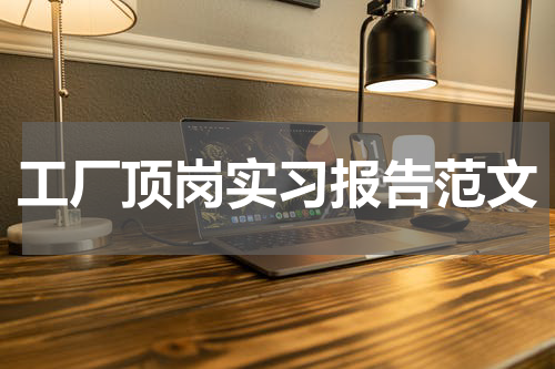 工厂顶岗实习报告范文