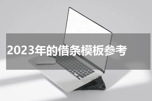 2023年的借条模板参考