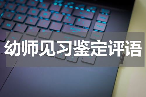 幼师见习鉴定评语