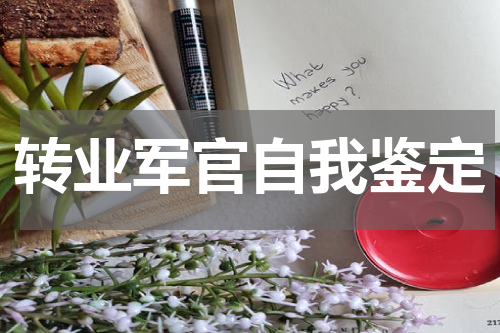 转业军官自我鉴定