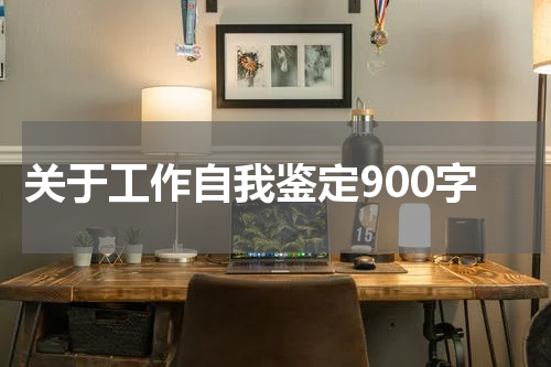 关于工作自我鉴定900字