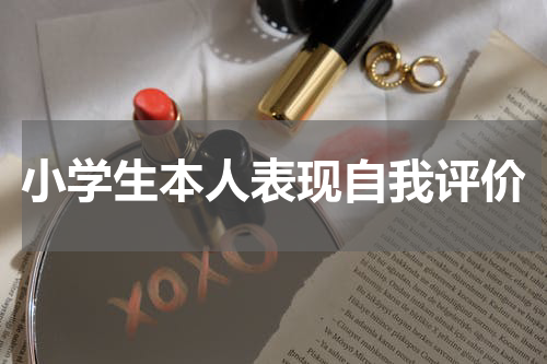 小学生本人表现自我评价