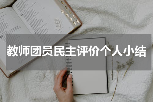 教师团员民主评价个人小结