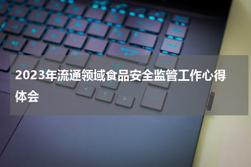 2023年流通领域食品安全监管工作心得体会