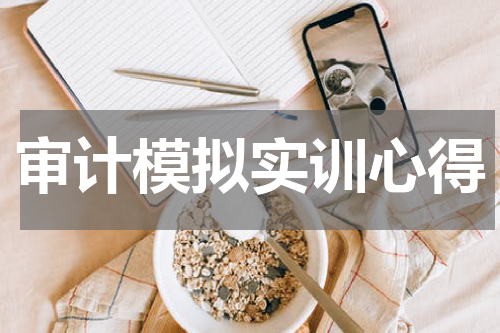 审计模拟实训心得