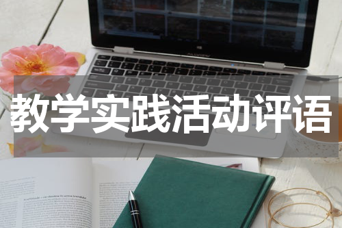教学实践活动评语