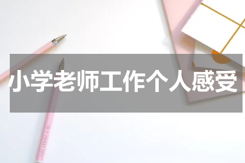 小学老师工作个人感受