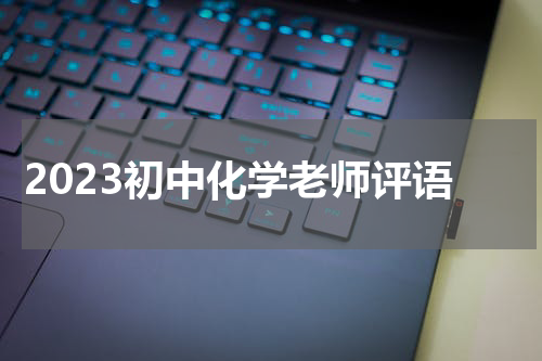2023初中化学老师评语