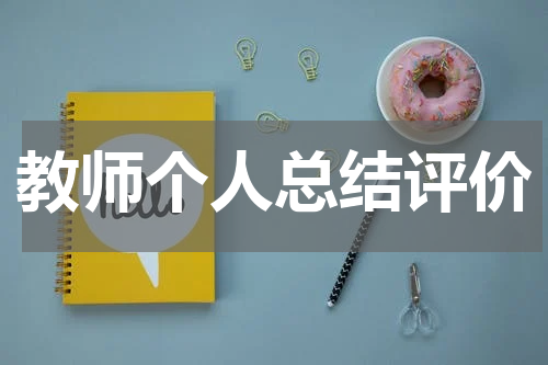 教师个人总结评价