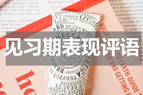 见习期表现评语