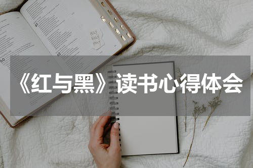 《红与黑》读书心得体会