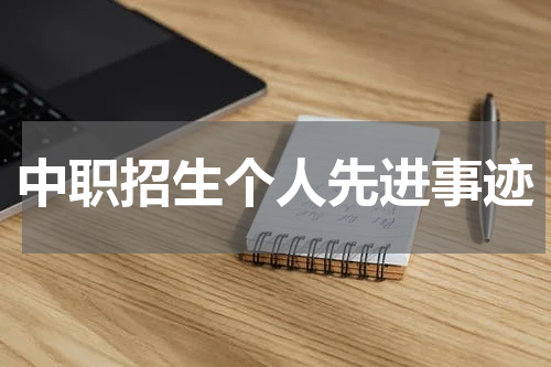 中职招生个人先进事迹