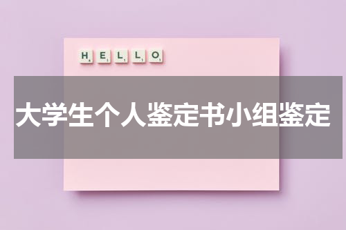 大学生个人鉴定书小组鉴定