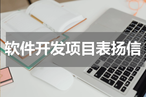 软件开发项目表扬信