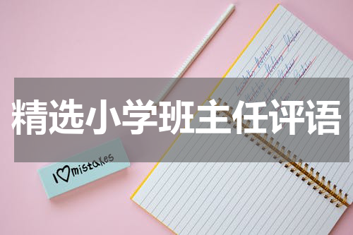 精选小学班主任评语