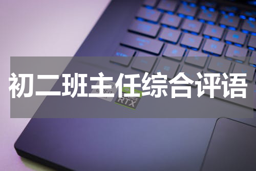 初二班主任综合评语