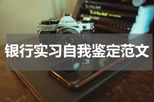 银行实习自我鉴定范文