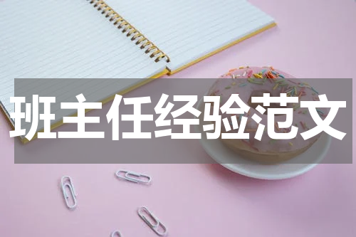 班主任经验范文