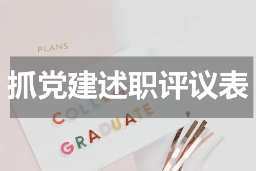 抓党建述职评议表