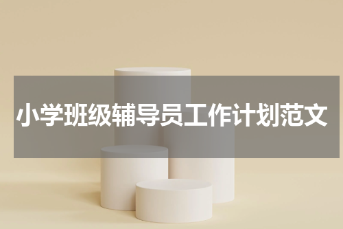 小学班级辅导员工作计划范文