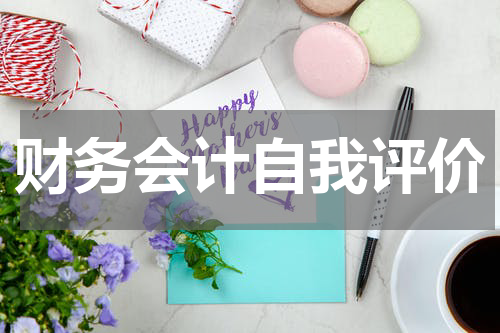 财务会计自我评价