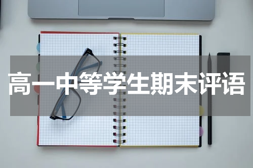 高一中等学生期末评语