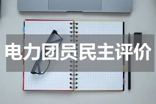 电力团员民主评价