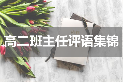 高二班主任评语集锦