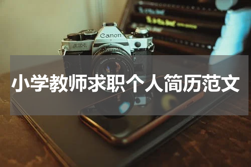 小学教师求职个人简历范文