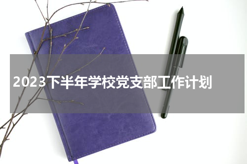 2023下半年学校党支部工作计划