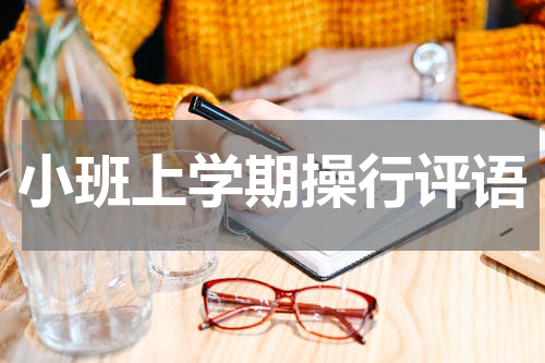 小班上学期操行评语