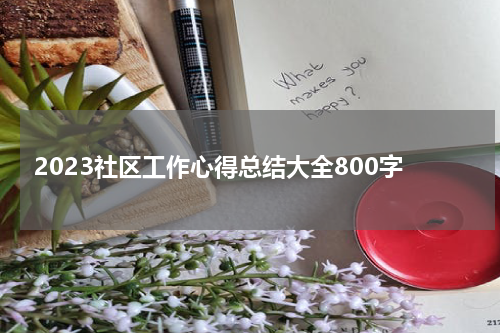 2023社区工作心得总结大全800字