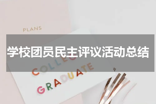学校团员民主评议活动总结