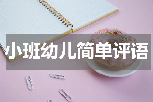 小班幼儿简单评语