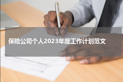 保险公司个人2023年度工作计划范文
