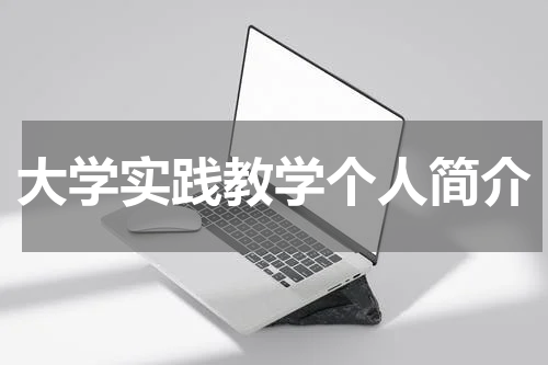 大学实践教学个人简介