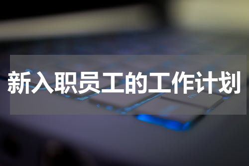新入职员工的工作计划