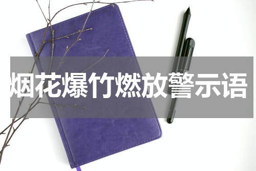 烟花爆竹燃放警示语