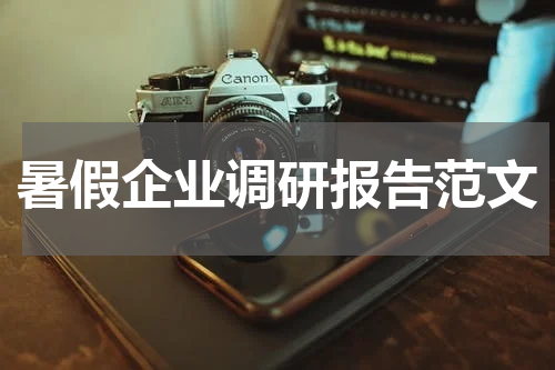 暑假企业调研报告范文