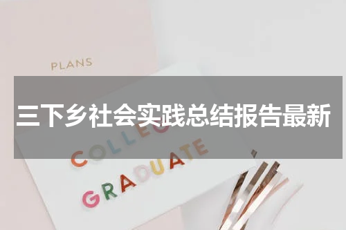 三下乡社会实践总结报告最新