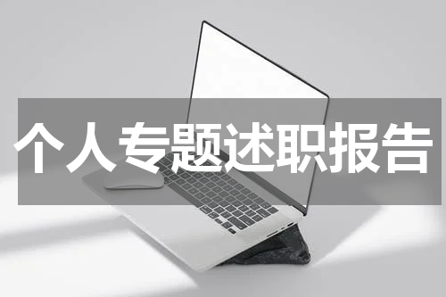 个人专题述职报告