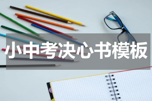 小中考决心书模板