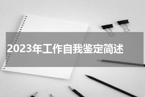 2023年工作自我鉴定简述
