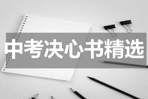中考决心书精选