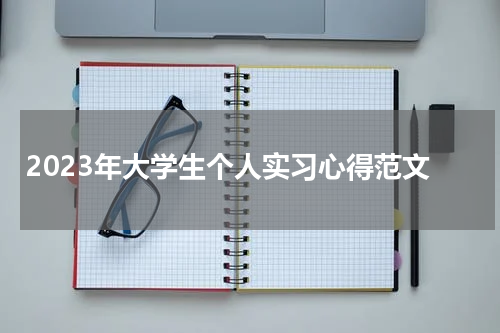 2023年大学生个人实习心得范文