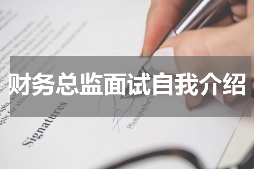财务总监面试自我介绍